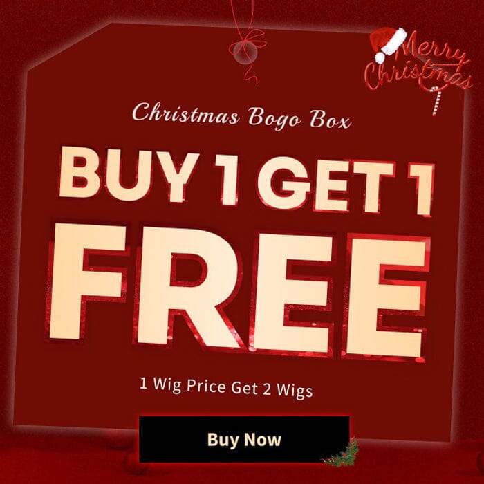 Christmas Bogo Box Buy 1 Get 1 Free 2 Hot Selling Wigs Low to $79.99