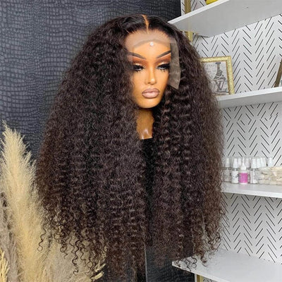 Kinky Curly 13x4 HD Lace Frontal Wigs Virgin Human Hair Pre Plucked for Women ｜QT Hair